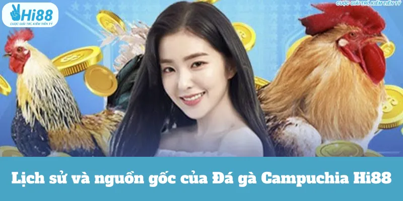 Lịch sử và nguồn gốc của Đá gà Campuchia Hi88
