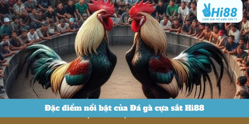 Đặc điểm nổi bật của Đá gà cựa sắt Hi88