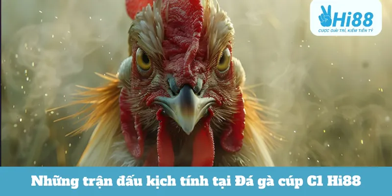 Những trận đấu kịch tính tại Đá gà cúp C1 Hi88