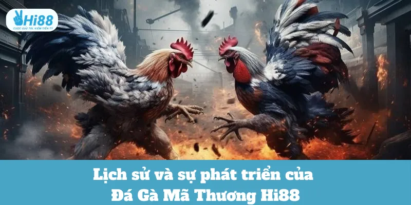 Lịch sử và sự phát triển của Đá Gà Mã Thương Hi88
