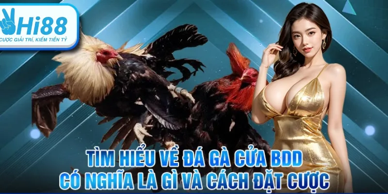 Hiểu về kèo BDD trong đá gà