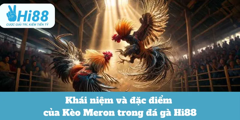 Chiến lược đặt Kèo Meron hiệu quả