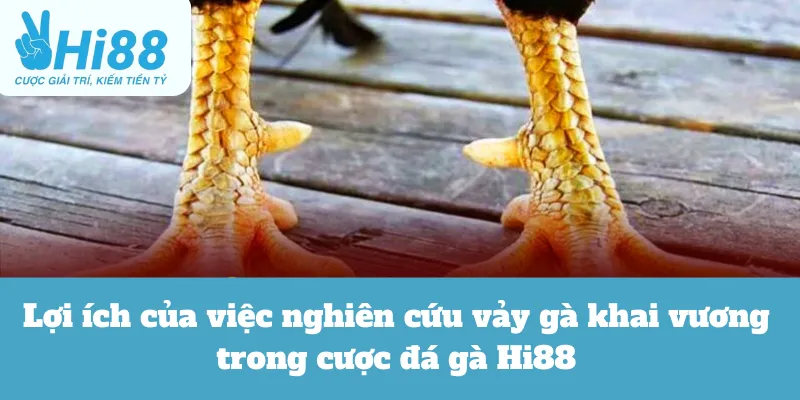 Lợi ích của việc nghiên cứu vảy gà khai vương trong cược đá gà Hi88