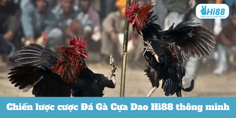 Chiến lược cược thông minh