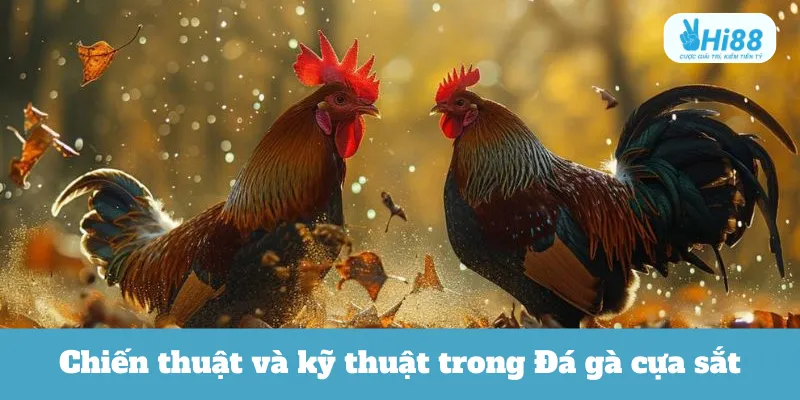 Chiến thuật và kỹ thuật trong Đá gà cựa sắt