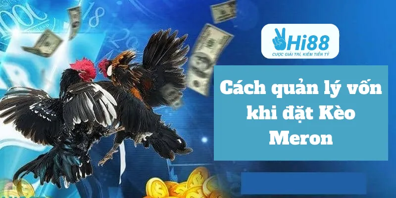 Cách quản lý vốn khi đặt Kèo Meron