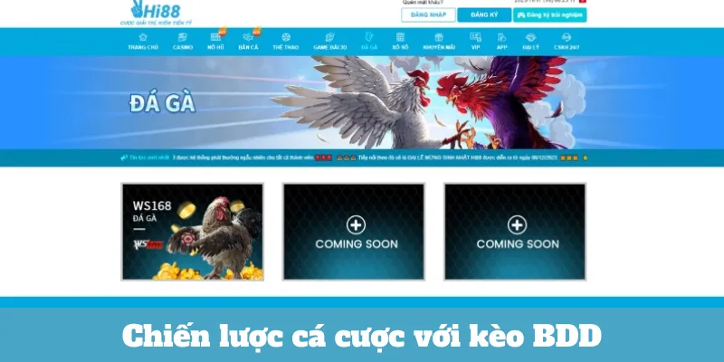 Chiến lược cá cược với kèo BDD