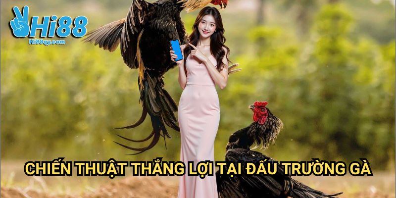 Chiến Thuật Thắng Lợi Tại Đấu Trường Gà