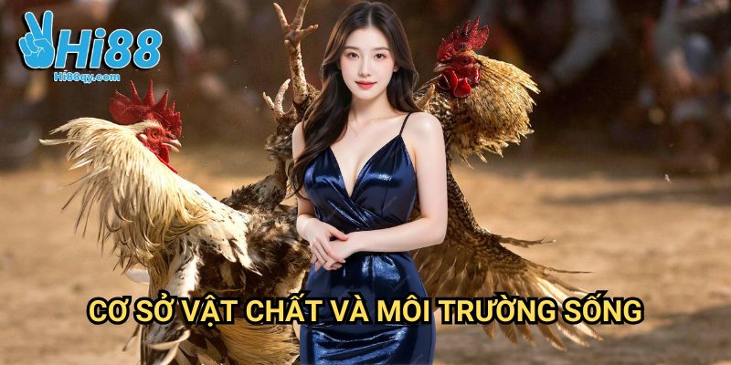 Cơ Sở Vật Chất Và Môi Trường Sống