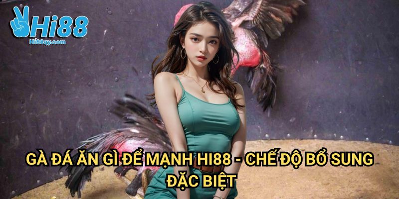 Gà đá ăn gì để mạnh Hi88 - Chế Độ Bổ Sung Đặc Biệt